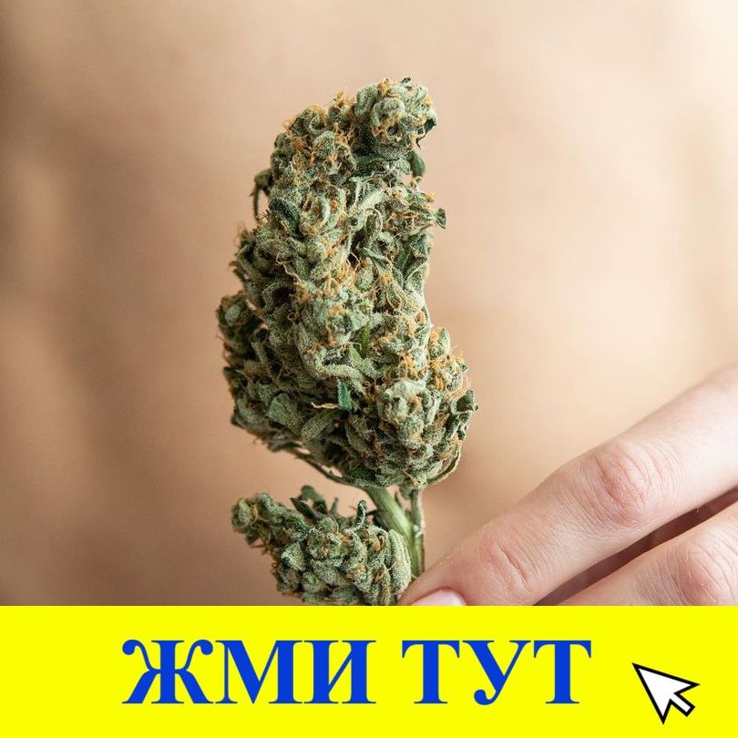 Купить наркотики в Минусинске